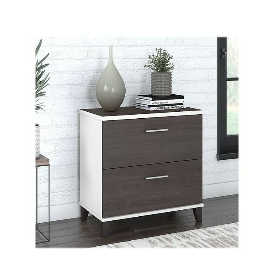 * Bush Furniture Somerset 2-Drawer Lateral File Cabinet, Letter/Legal, Storm Gray/White, 30 (Wc81080)