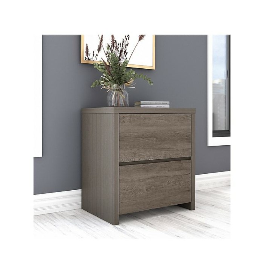 * Bush Furniture Bristol 2-Drawer Lateral File Cabinet, Letter/Legal, Restored Gray/Thread Gray, 29 (Brf129Rt-03)