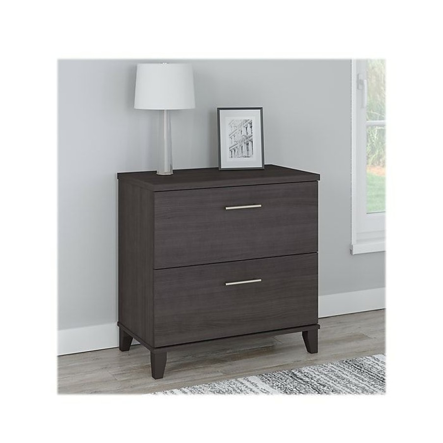 * Bush Furniture Somerset 2-Drawer Lateral File Cabinet, Letter/Legal, Storm Gray, 30 (Wc81580)