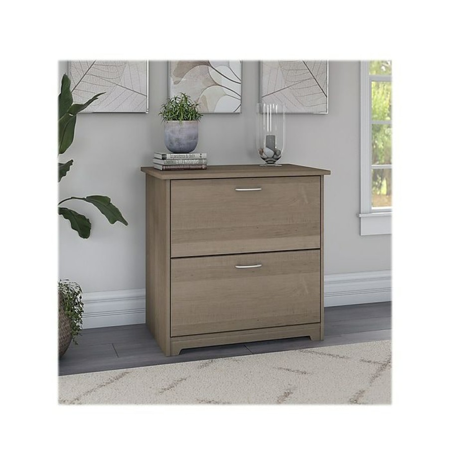 * Bush Furniture Cabot 2-Drawer Lateral File Cabinet, Letter/Legal, Ash Gray, 31 (Wc31280)