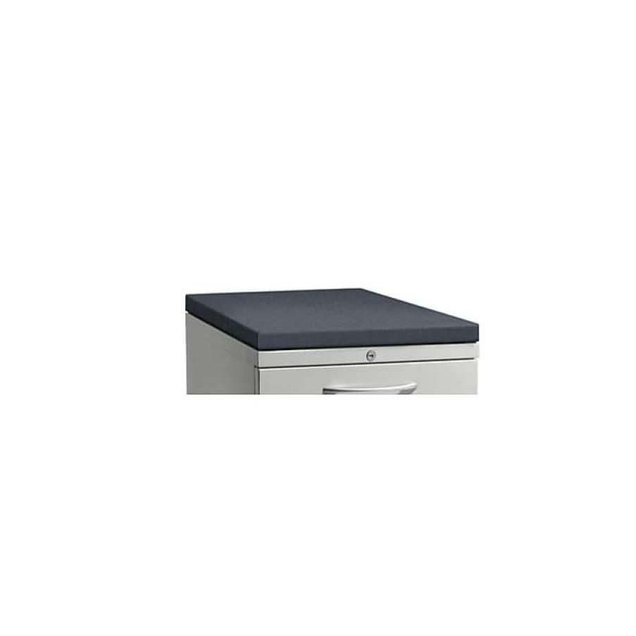 * Hon Flagship Cushion For Mobile Pedestal, Gray (Honhpst24Ndpns4)