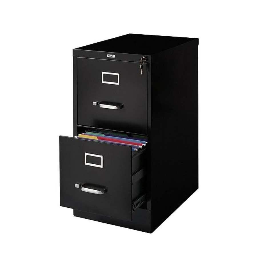 * Staples 2-Drawer Vertical File Cabinet, Locking, Letter, Black, 22 D (22335D)