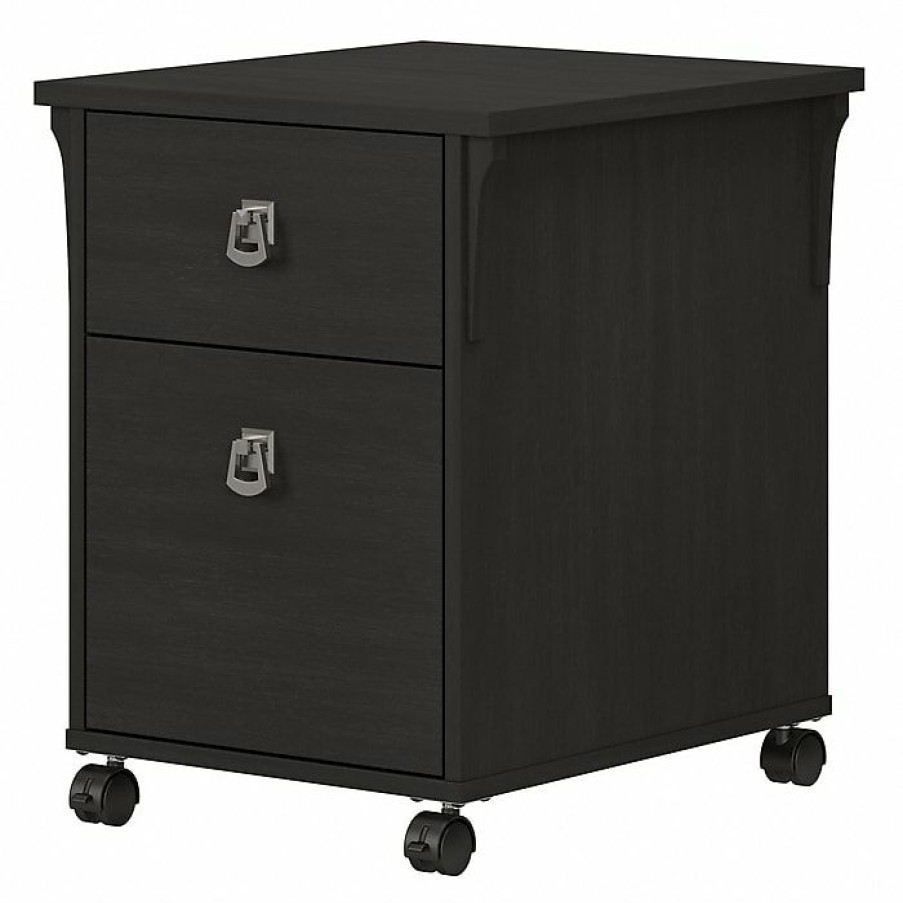 * Bush Furniture Salinas 2-Drawer Vertical File Cabinet, Mobile, Letter/Legal, Vintage Black, 20 (Saf118Vb-03)