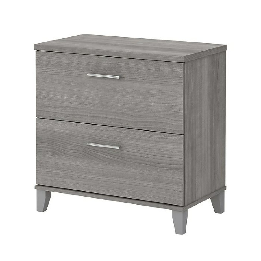 * Bush Furniture Somerset 2-Drawer Lateral File Cabinet, Letter/Legal, Platinum Gray, 30 (Wc81280)