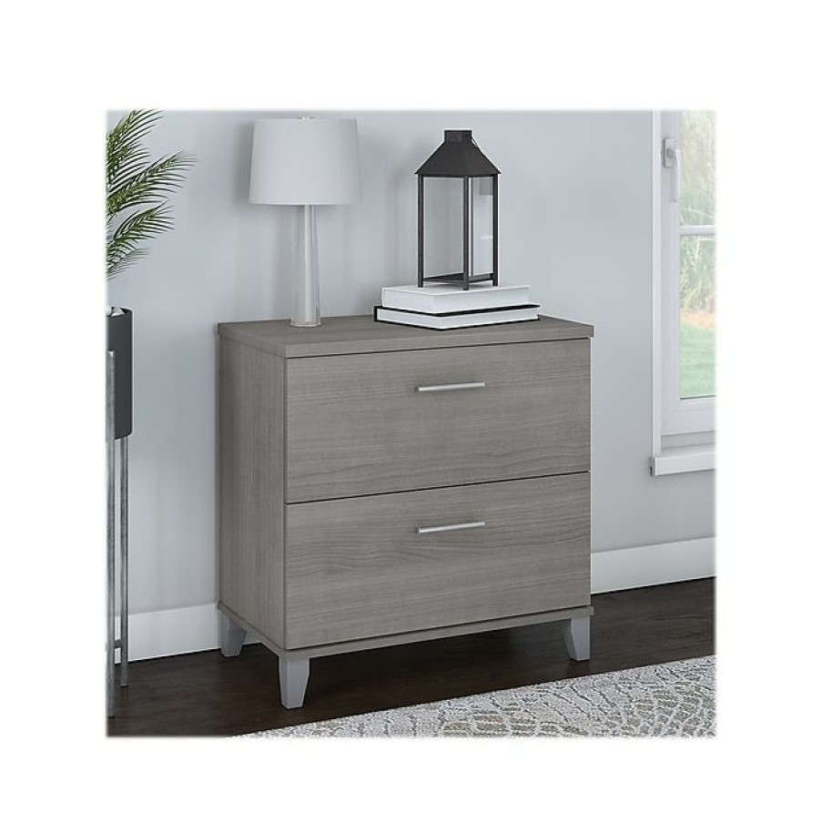 * Bush Furniture Somerset 2-Drawer Lateral File Cabinet, Letter/Legal, Platinum Gray, 30 (Wc81280)